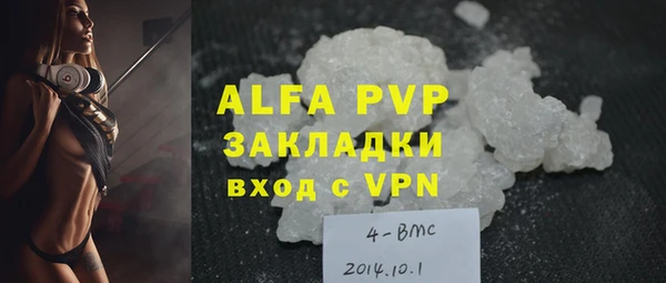 молекула духа Михайлов