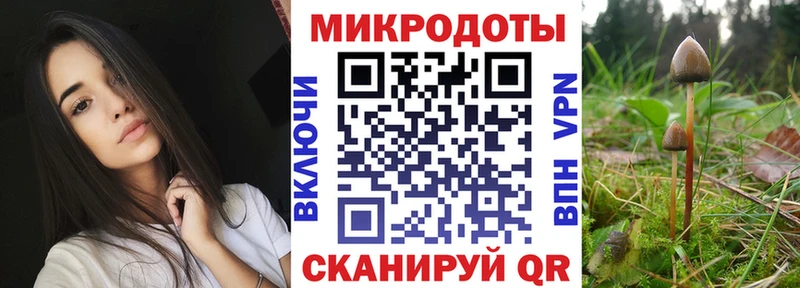 где купить наркоту  ссылка на мегу маркетплейс  Галлюциногенные грибы Cubensis  Канск 