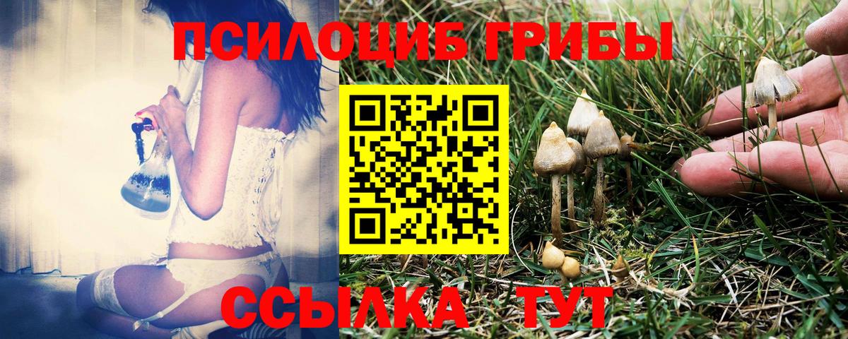 Галлюциногенные грибы GOLDEN TEACHER  Вход с VPN  Канск 