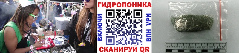 ссылка на мегу ONION  Канск  Марихуана OG Kush 